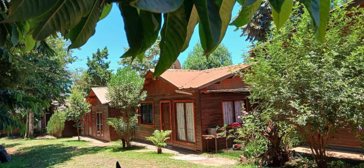 Voces De La Selva Misionera Villa Puerto Iguazú Exteriör bild